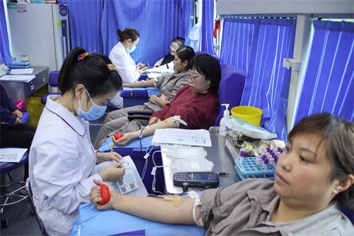 集团组织开展无偿献血活动