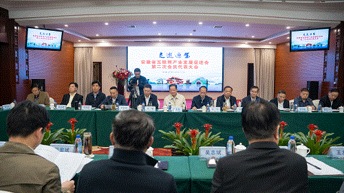 安徽省互联网产业发展促进会第二次会员代表大会在迎驾召开
